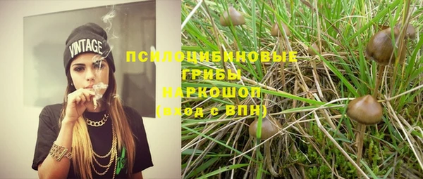прущая мука Белокуриха