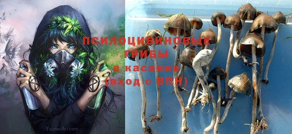 прущая мука Белокуриха
