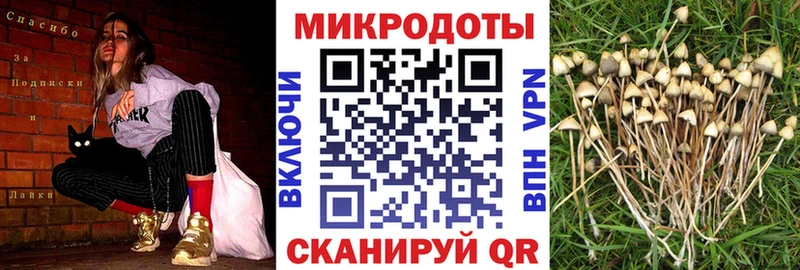 сайты даркнета как зайти  Чаплыгин  Псилоцибиновые грибы Psilocybine cubensis  где можно купить  